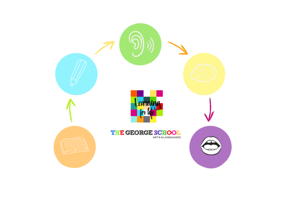 Círculo que muestra las etapas de actividades de la escuela